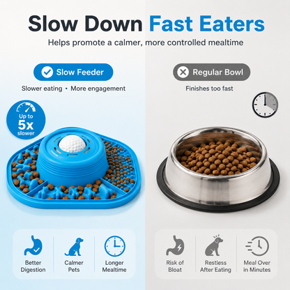 PawLove™ 3-in-1 Interactive Slow Feeder Bowl